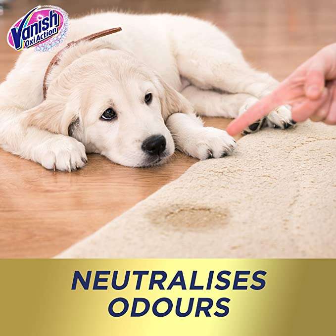 Vanish PowerFoam Carpet Cleaner 600ml 8039012