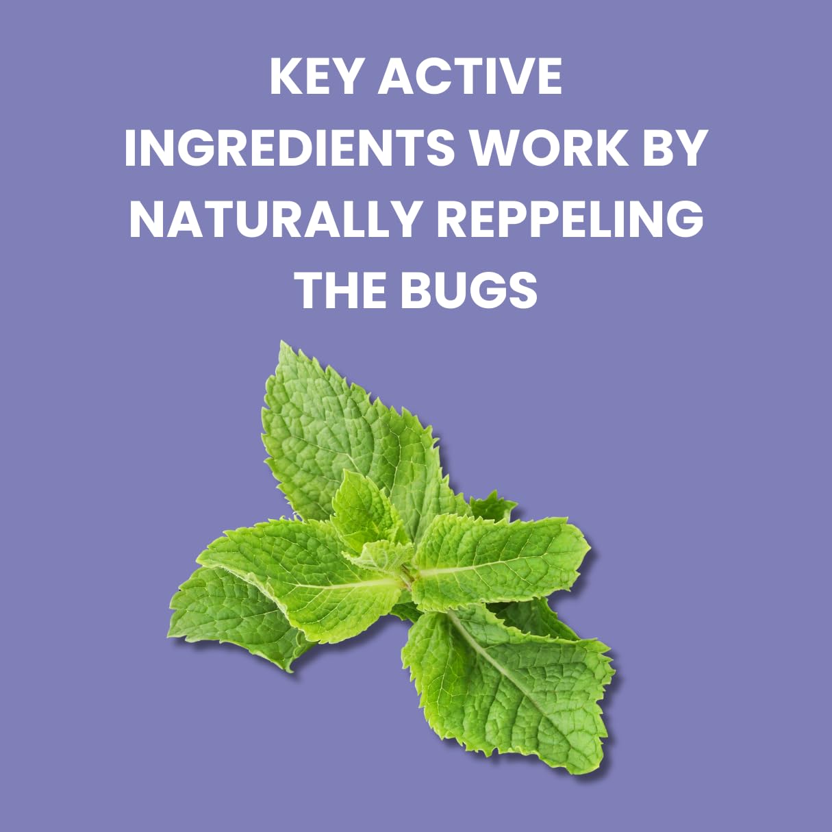 Flow Bye Bye Bed Bug Treatment Killer Insect Replellant | 750ml Trigger Spray