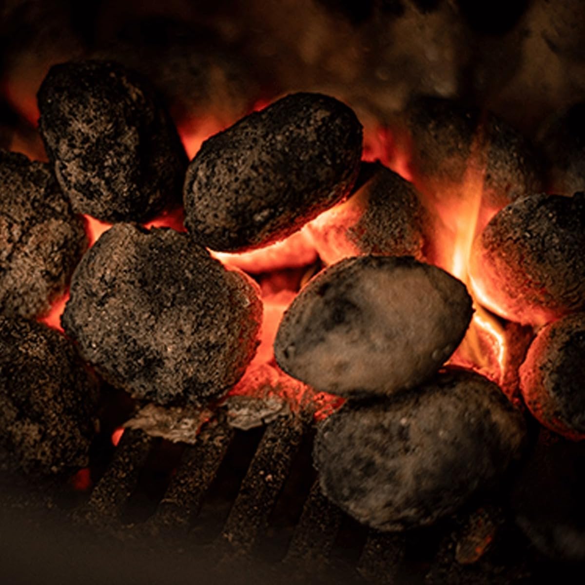 Brazier Homefire Smokeless Coal | 10kg Bag