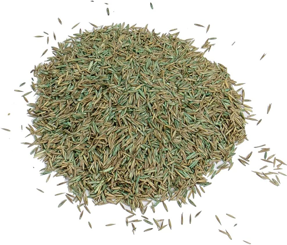 Westland Gro-Sure Fast Acting Grass Lawn Seed 80m2 2.4kg - UK BUSINESS SUPPLIES