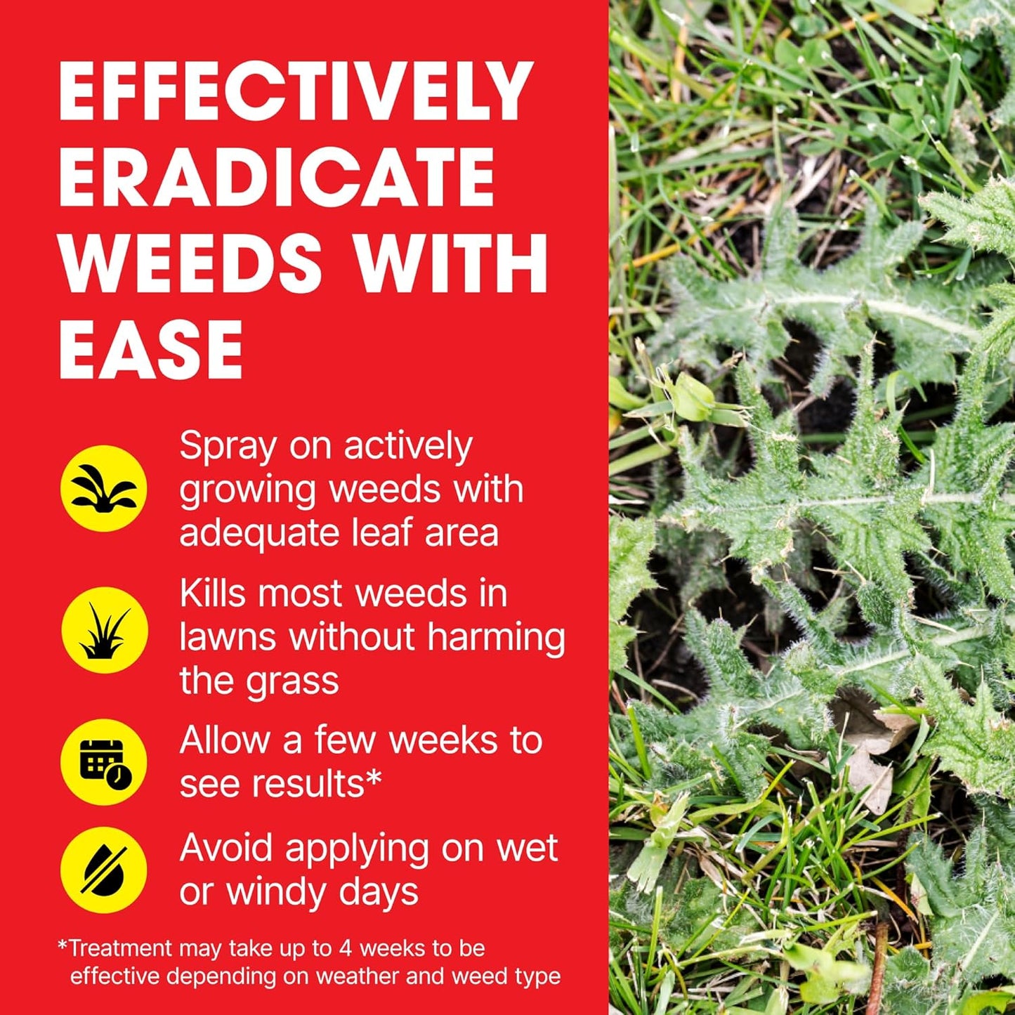 Doff Concentrated Lawn Weedkiller 200ml