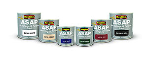 Rustins Asap Paint Black 500Ml