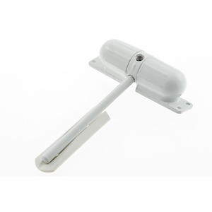 Burg Wachter White Spring Loaded Door Closer Black Brass