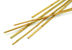 Bamboo Cane Pk10 4Ft 1.2M 76225