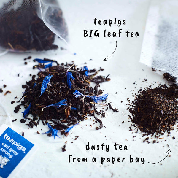 Teapigs Earl Grey Strong Temple Tea Bags ENVELOPED 50's