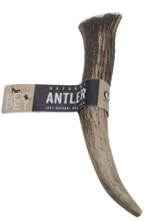 Eco Pet Large Antler Real Red Deer (Elk) Dog Chew - UK BUSINESS SUPPLIES