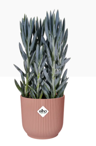 Elho Vibes Fold Display Pot 14cm DELICATE PINK - UK BUSINESS SUPPLIES