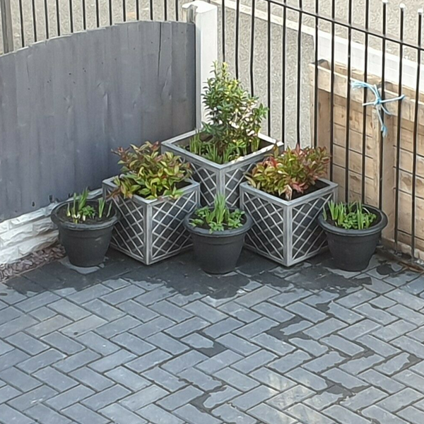 Strata Lazio Square Plastic Planter Plant Pot Grey 38cm (GN698)