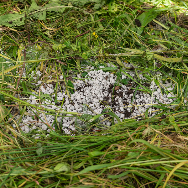 Lava-Lite Composter+ 3 Litre