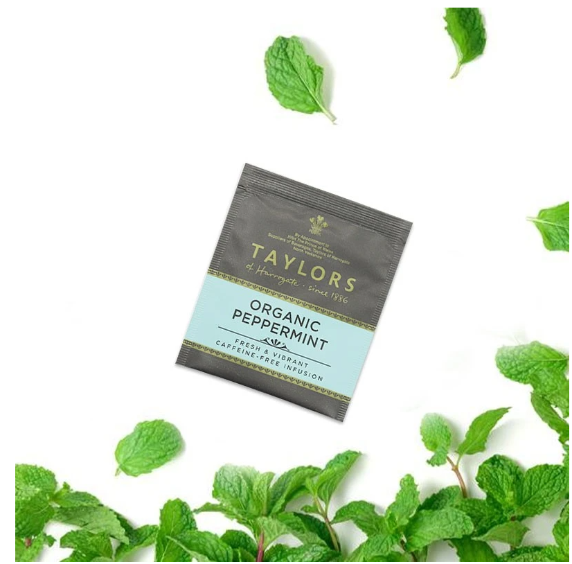 Taylors of Harrogate Organic Peppermint Enveloped Tea Pack 100’s