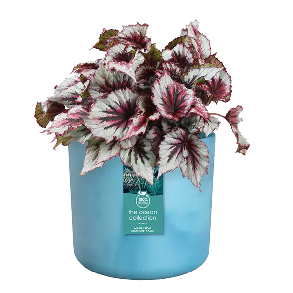Elho Atlantic Blue Round Planter 16cm - UK BUSINESS SUPPLIES