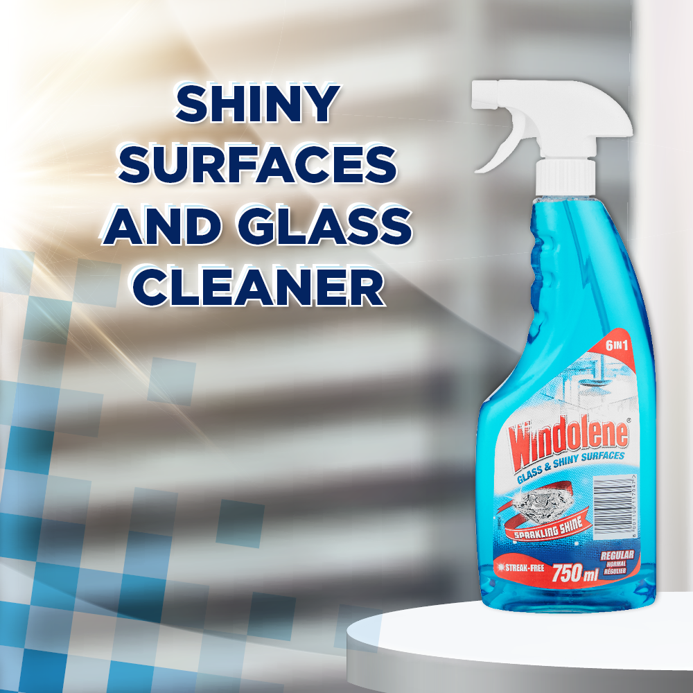 Windolene Window & Glass Cleaner Trigger 750ml