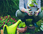 Gardening