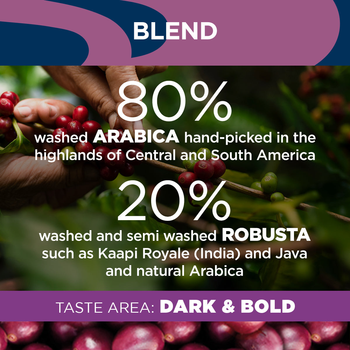 Lavazza Gran Riserva Coffee Beans