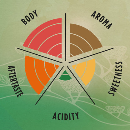 Lavazza Tierra Brasile Premium Blend Coffee Beans 1kg