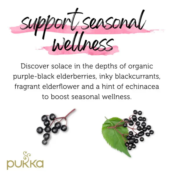 Pukka Tea Elderberry & Echinacea Envelopes 20's - 240's - UK BUSINESS SUPPLIES