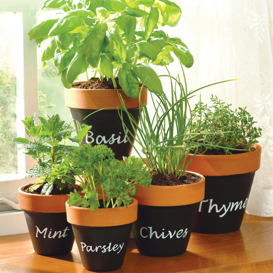 Plastikote Chalkboard Black Paint 400ml Twist and Spray Can | Renovate, Repair or Create a new surface | 3 Pack