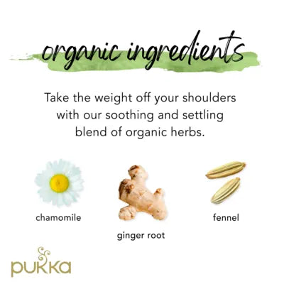 Pukka Tea Relax Individually Wrapped Enveloped Tea 20's