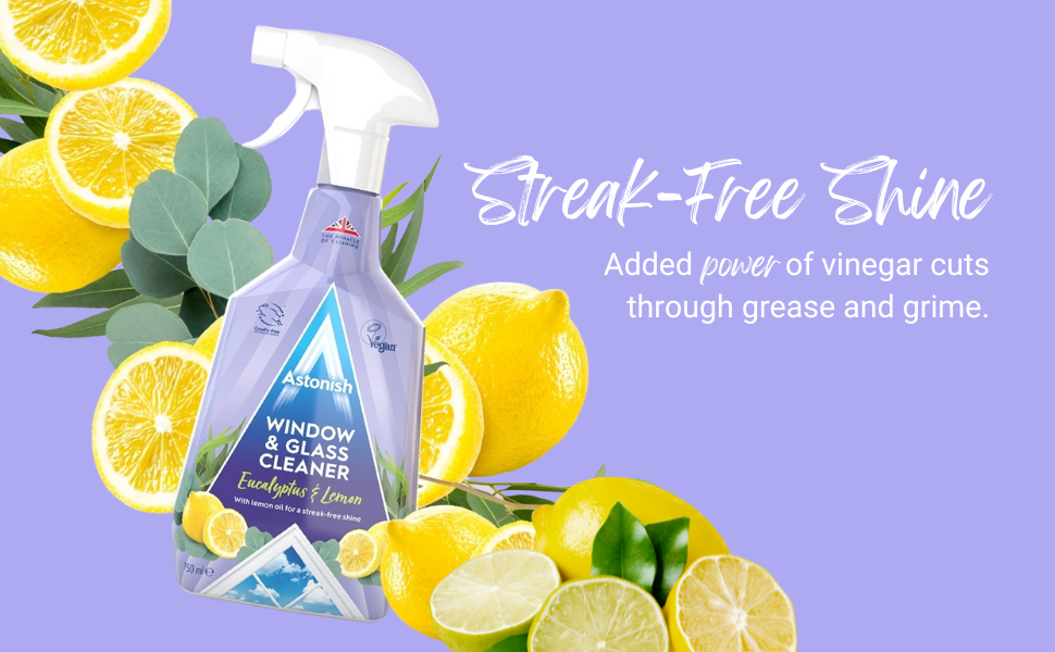 Astonish Window & Glass Cleaner Spray 750ml