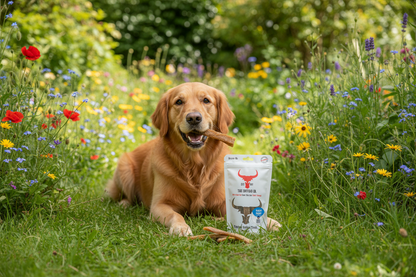 The Buffalo Co Paddywack | 100% Natural Grass-Fed Dog Treats | 1 x 100g