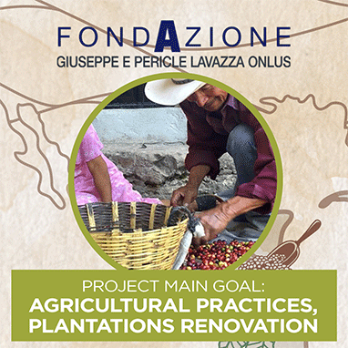 Lavazza La Reserva de Tierra Humeco Organic Coffee Beans 1kg