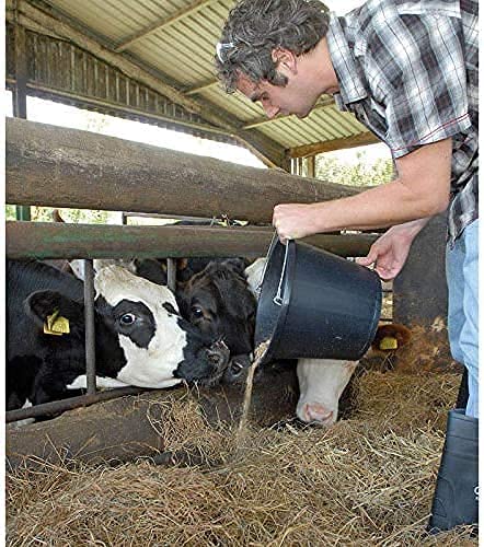 Janit-X Builders, Gardeners Buckets Black 14L Capacity