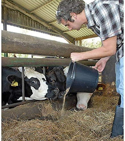 Janit-X Builders, Gardeners Buckets Black 14L Capacity