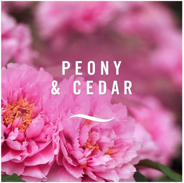 Ambi Pur 3volution Peony & Cedar Refill MEGA Pack