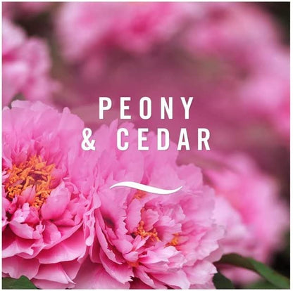 Ambi Pur 3volution Peony & Cedar Refill MEGA Pack