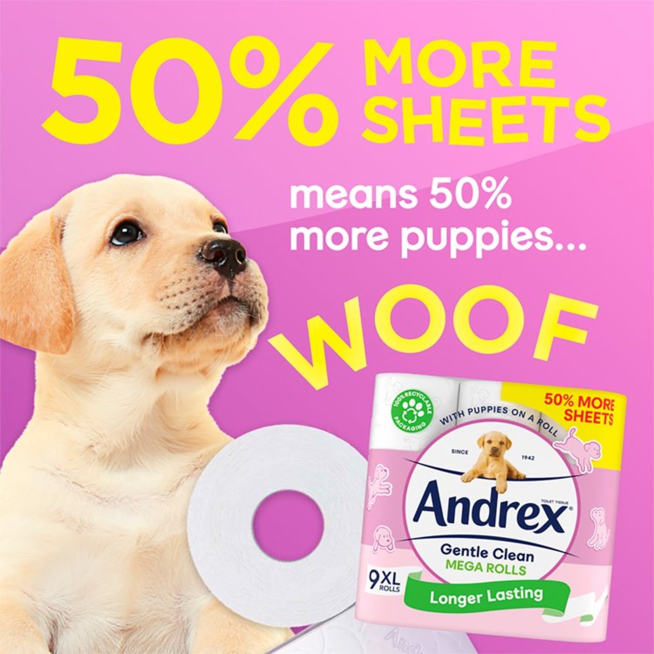 Andrex 2-Ply Toilet Roll Puppies On A Roll Clean & Gentle White (Pack of 9)