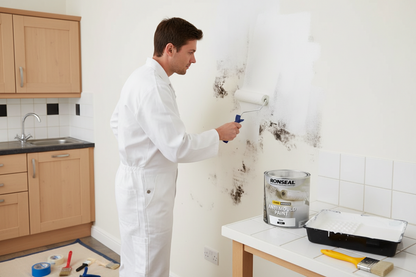 Ronseal Anti Mould Paint | White Silk | 1 x 2.5 Litre