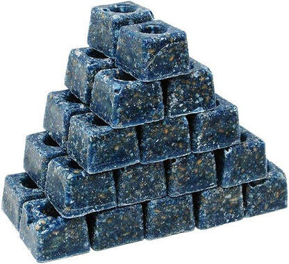 Big Cheese Rat & Mouse Bait Station (STV179) | 2 Pack Bundle