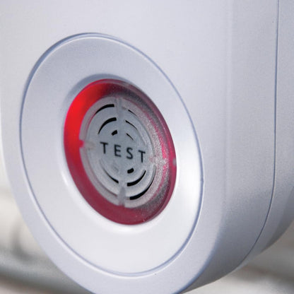 The Big Cheese Sonic Mouse & Rat Repeller Plug-In