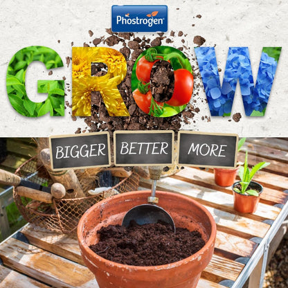 Toprose - Fungus Control and Protect Ready to Use 1 Litre