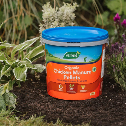 Westland Organic Chicken Manure Pellets, 8kg