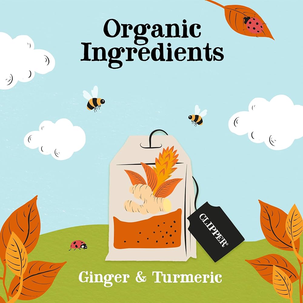 Clipper Organic Ginger & Turmeric Envelopes 20's