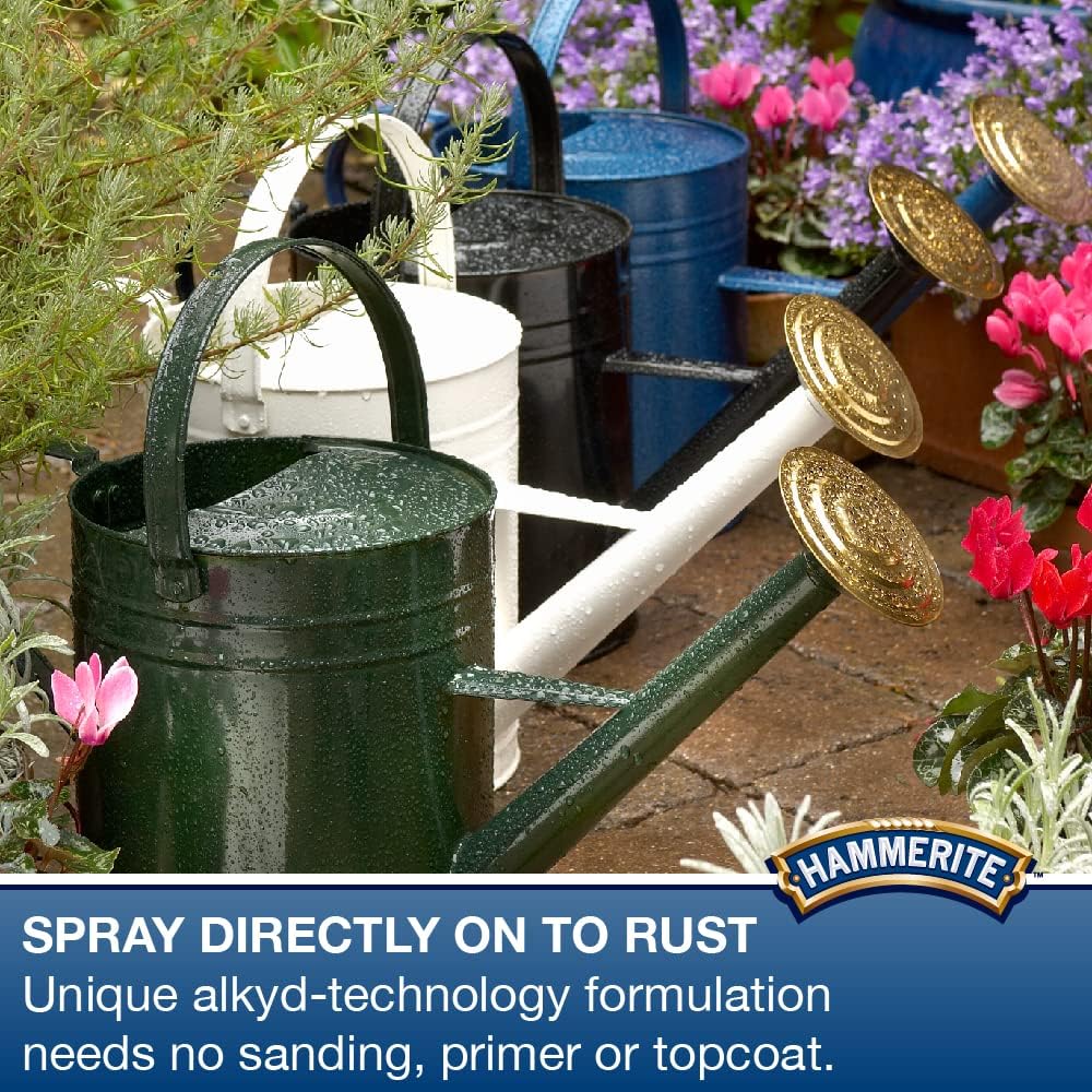 Hammerite Spray Paint for Metal | Direct to Rust Exterior Metal Paint | Smooth Finish | BLUE