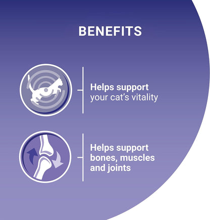 Purina ONE Adult Cat Food Pouches Mini Fillets in Gravy Chicken & Beef 8 x 85g