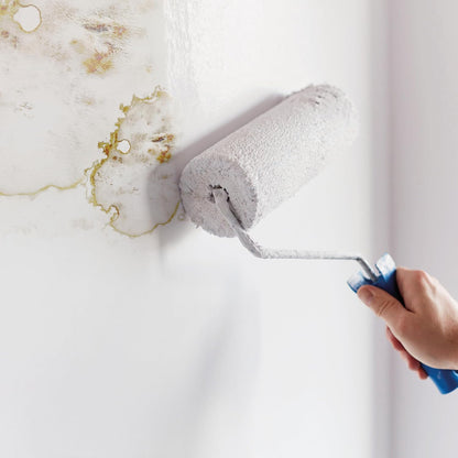 Ronseal Anti Mould Paint White Matt 750ml