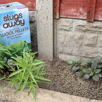 Defenders All-Natural Slugs Away Wool Pellets | Slugs and Snails | 5 Litre
