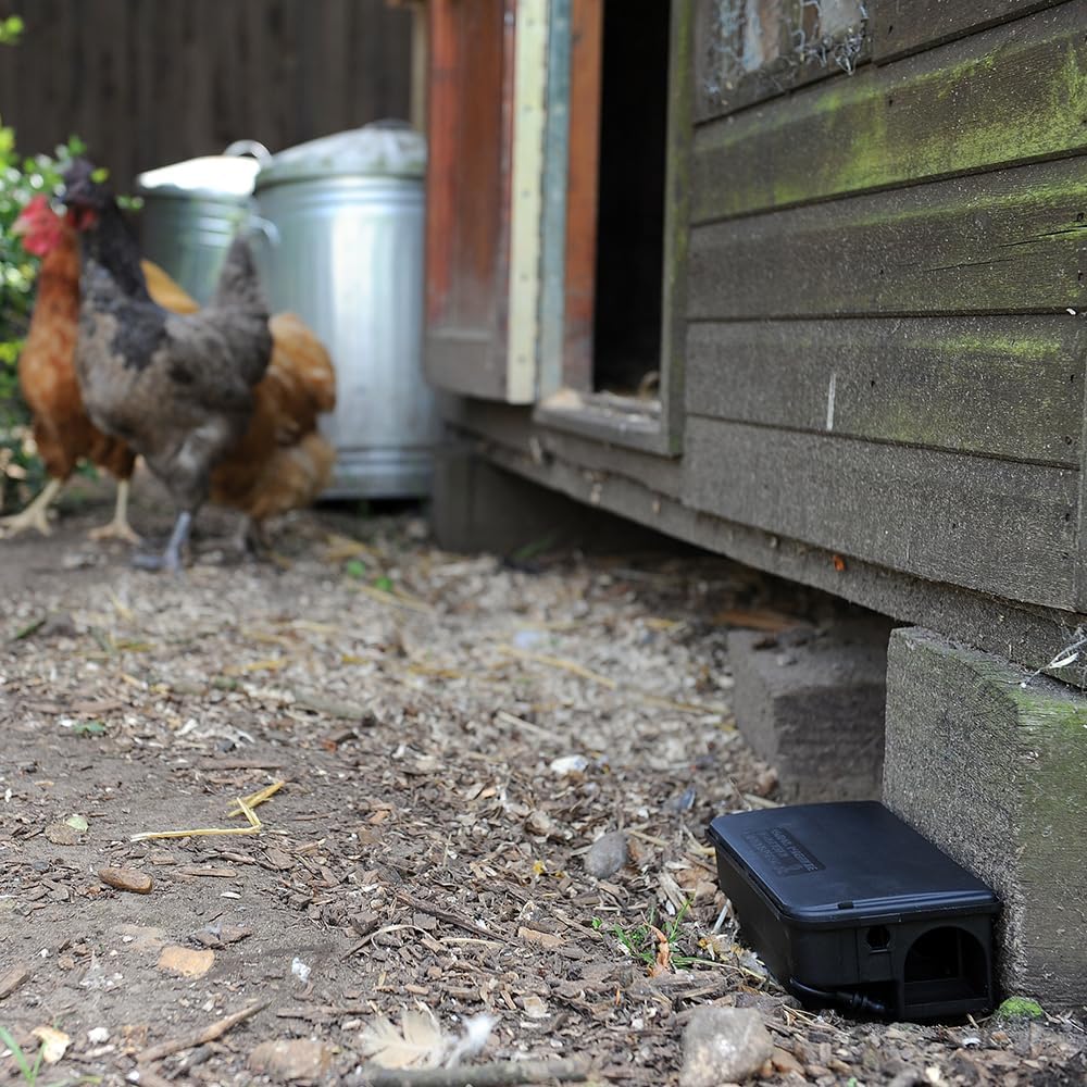 Big Cheese Rat & Mouse Bait Station (STV179) | 2 Pack Bundle