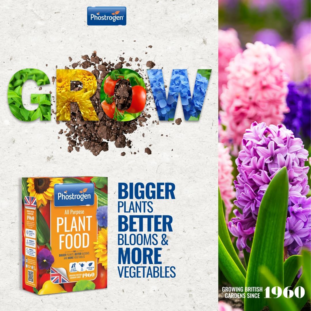 Phostrogen All Purpose Plant Food, 2Kg/200 Can - Plant And Edibles Fertiliser Feed