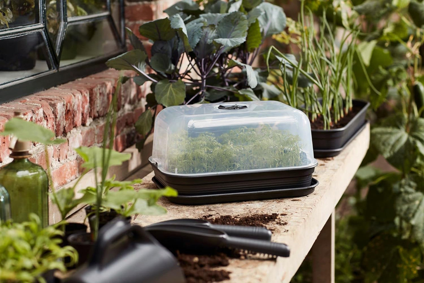 Elho Green Basics 3pc Grow Kit All-in-1 | Black