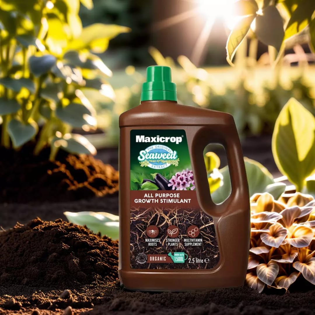 Maxicrop Original Seaweed Extract Organic Plant Growth Stimulant 2.5L