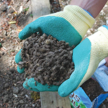 Defenders All-Natural Slugs Away Wool Pellets | Slugs and Snails | 1 Litre