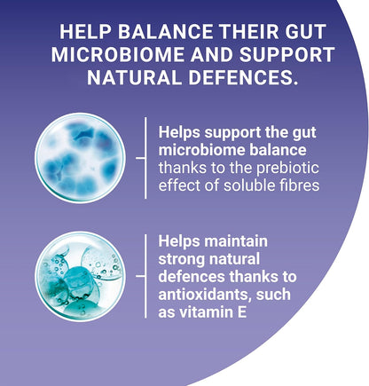 Purina ONE Adult Cat Food Pouches Mini Fillets in Gravy 40 x 85g