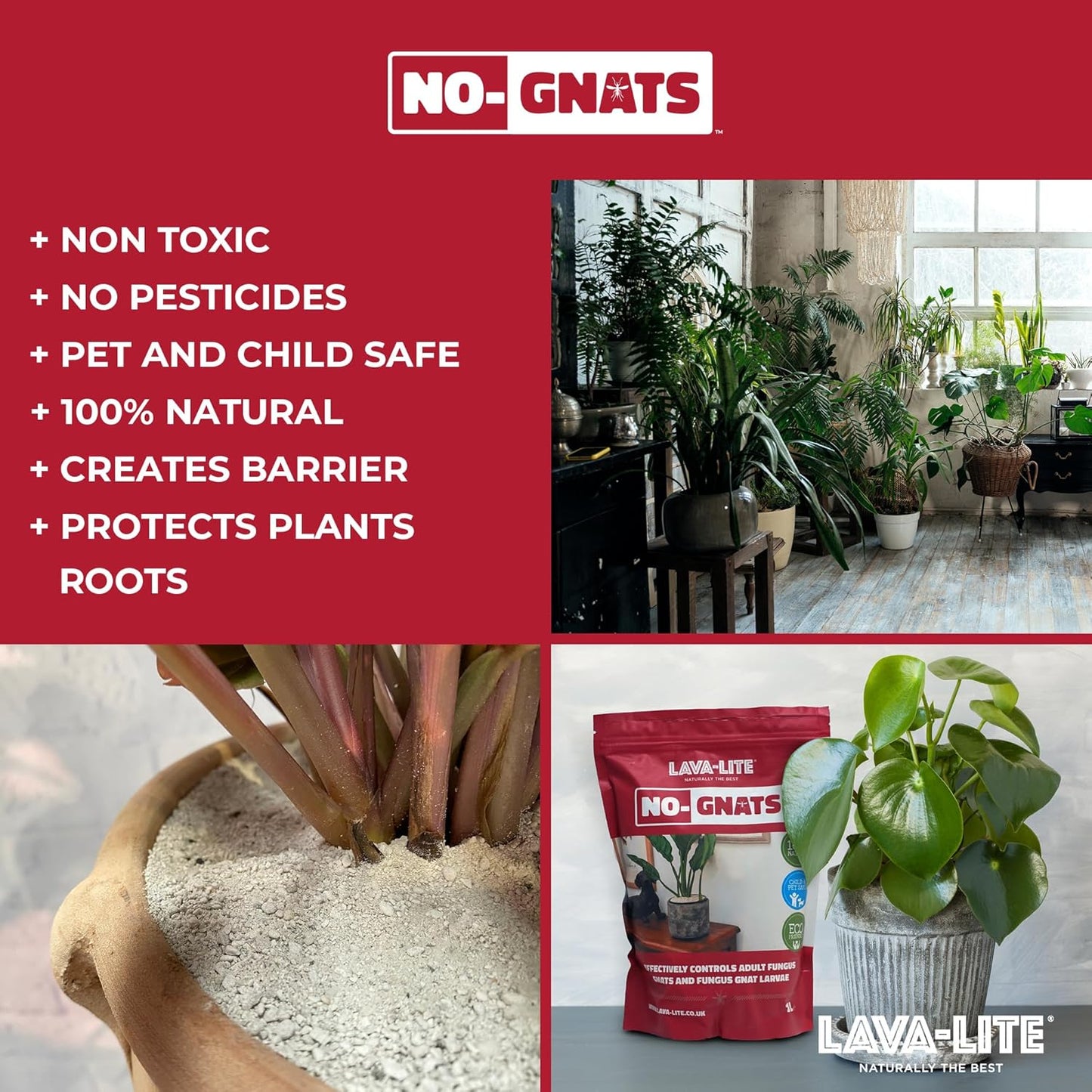 Lava-Lite No Gnats | Original Natural Fungus Gnat Killer for Houseplants, Soil & Compost | Child