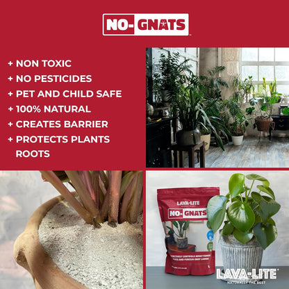 Lava-Lite No Gnats | Original Natural Fungus Gnat Killer for Houseplants, Soil & Compost | Child