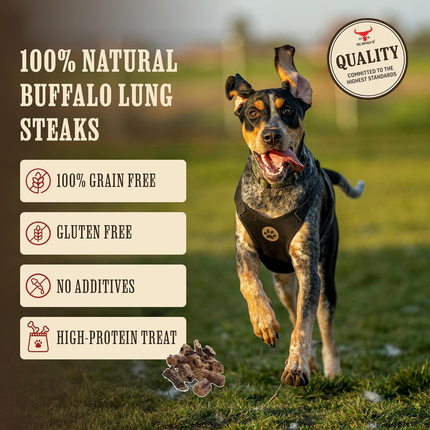 The Buffalo Co. Buffalo Lung Steaks for Dogs | 100% Natural | Dog treats |  1 x 100g