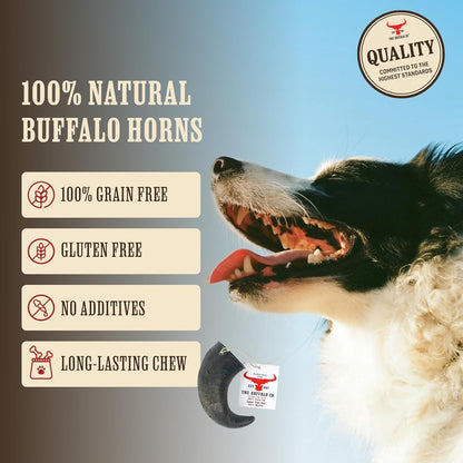 The Buffalo Co. Buffalo Horn for Dogs | Large (6-8 Inch) | 100% Natural Grass-Fed Dog Treats